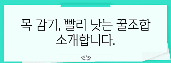 겨울철 목 감기 완화법 | 천연 대안과 효과적 가정 요법