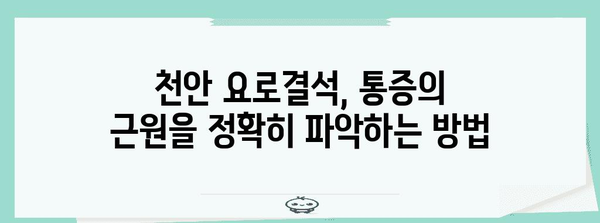 천안 요로결석 통증의 근원 파악