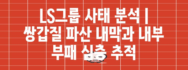 LS그룹 사태 분석 | 쌍갑질 파산 내막과 내부 부패 심층 추적