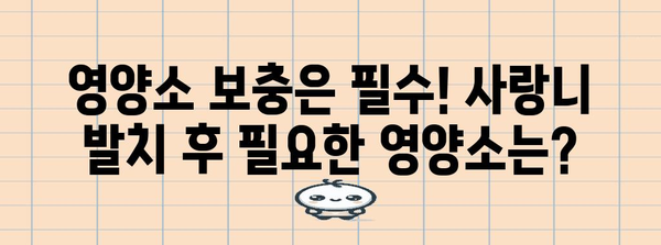 사랑니 발치 후 회복을 위한 7가지 식단 팁
