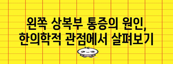 왼쪽 상복부 통증의 비밀 풀기 | 한의학적 진단과 증상 관리