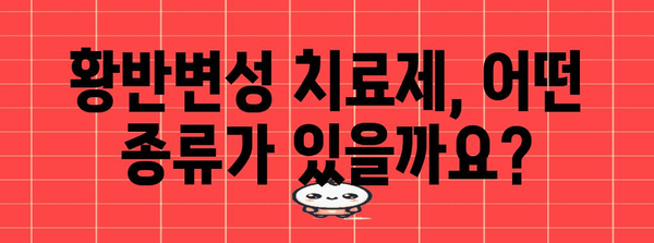 황반 변성 치료제 가이드, 효과적 관리 안내서