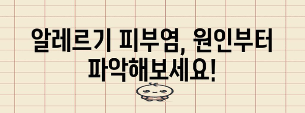알레르기 피부염 개선 팁 5가지
