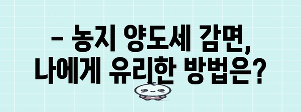 농지 양도세 감면 꼼수 알아보기
