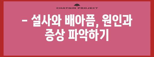 설사와 배아픔 대처 | 건강한 식단과 수분 유지로 회복 가속