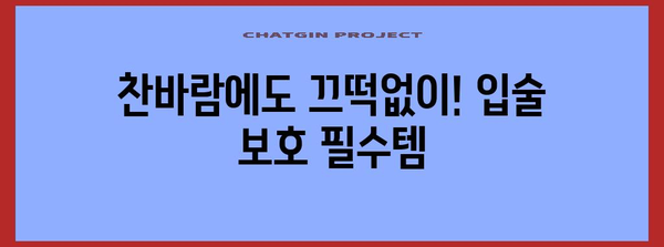 입술 부르틈 영원히 안녕! 필수 예방법 5가지