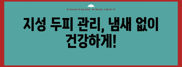 두피 냄새 제거 솔루션 | 지성 두피 관리와 탈모 예방