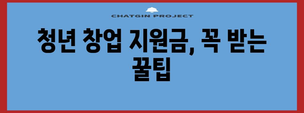 청년 창업 지원 정책자금 승인 확률 높이는 꿀팁