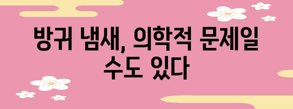 방귀 냄새 해결법 | 원인 파악부터 대처법까지