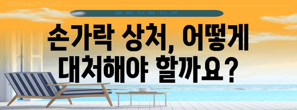 상처 대응의 전문가 되기 | 심각한 손가락 상처 치료법