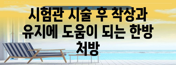 시험관 아기를 위한 한의학 | 임신 착상 준비 가이드