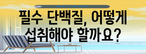 필수 단백질 가이드 | 건강한 삶의 기반