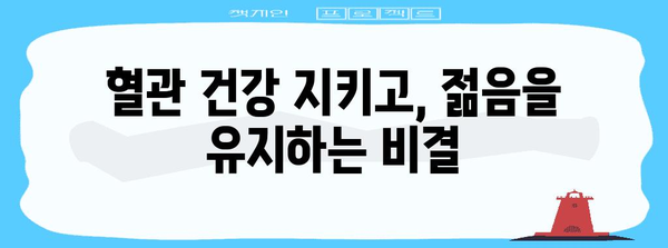 내 몸에 활력을 불어넣는 혈행 개선 영양제 효과