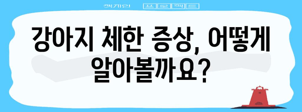 강아지 체한 SOS | 삼전동 동물병원의 대처법