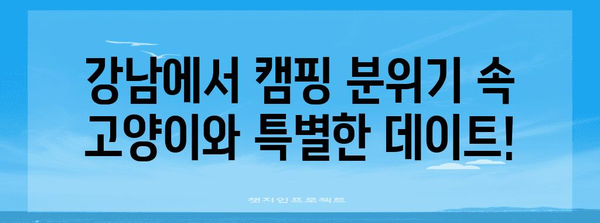 강남 이색 데이트 | 고양이 카페 캠핑고양이에서 특별한 야영