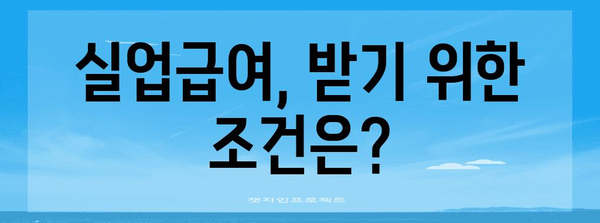 고용보험 완벽 가이드 | 실업급여부터 지급까지