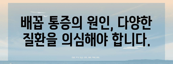 노인 돌봄 | 오른쪽 배꼽 통증의 원인 이해와 관리