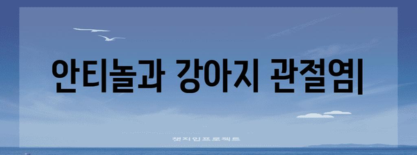 강아지 관절염 통증을 완화하는 안티놀의 효능