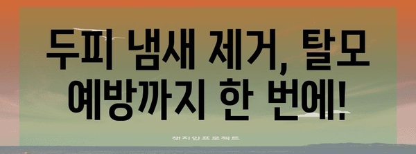 두피 냄새 제거 솔루션 | 지성 두피 관리와 탈모 예방