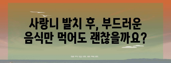 사랑니 발치 후 회복을 위한 7가지 식단 팁
