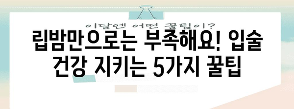 건강한 입술 유지 가이드 | 입술 트는 것 예방 5가지 꿀팁