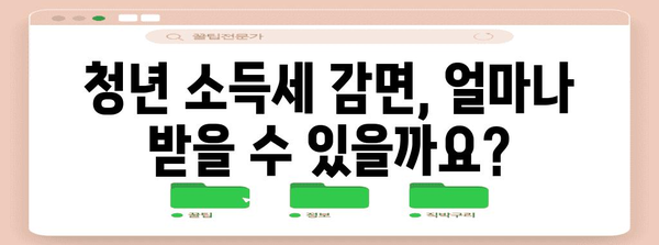 소득세 감면 혜택 완벽 가이드 | 중소기업 취업 청년 필독