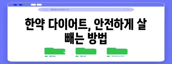 한약으로 안심하게 체중 줄이는 다이어트 방법