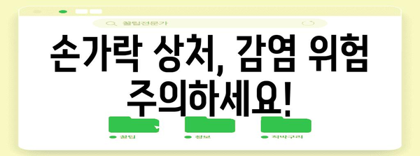 상처 대응의 전문가 되기 | 심각한 손가락 상처 치료법