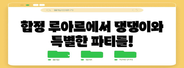 합정 애견 파티 | 루아르에서 반려견과 즐거운 시간