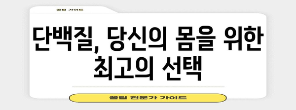 필수 단백질 가이드 | 건강한 삶의 기반