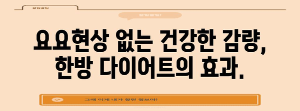 건강한 다이어트 솔루션 | 구리 한의원의 맞춤형 관리 안내서