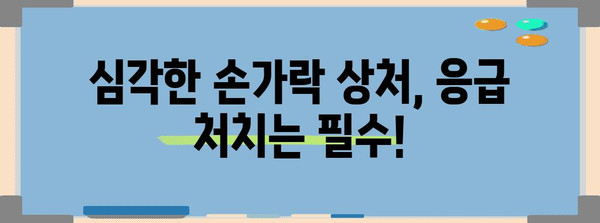 상처 대응의 전문가 되기 | 심각한 손가락 상처 치료법