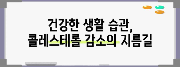 콜레스테롤 낮추기 | 효과적인 생활습관, 식단, 운동법