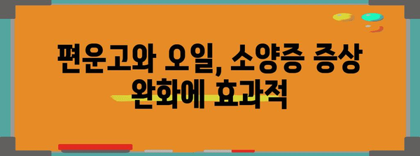 가려움증 해소하기 | 소양증 완화를 위한 편운고와 오일 활용 가이드