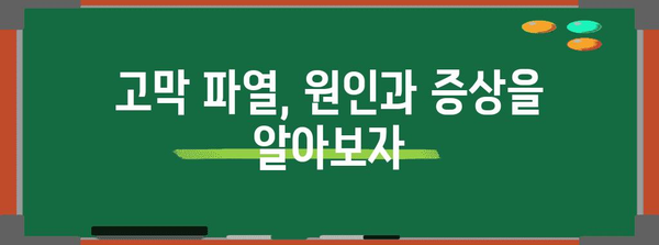 고막 파열 | 소리가 들리지 않는 증상의 진상