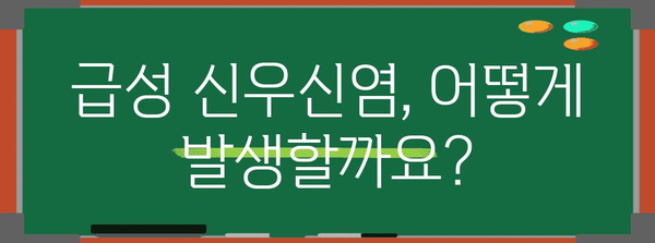 급성 신우신염 이해하기 | 원인, 증상, 치료법