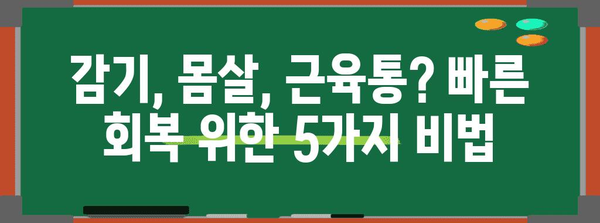 5가지 건강 팁 | 감기, 몸살, 근육통 빠르게 극복