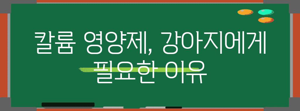 강아지 건강 필수 | 칼륨 영양제 비교 가이드
