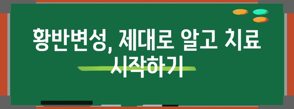 황반 변성 치료제 가이드, 효과적 관리 안내서