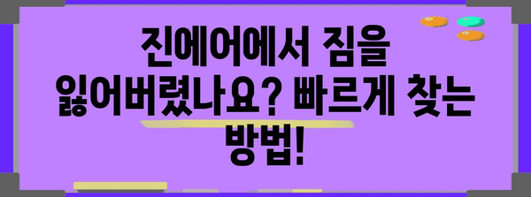 진에어 분실물 신속찾기 팁 | 없어진 소지품을 되찾아보자
