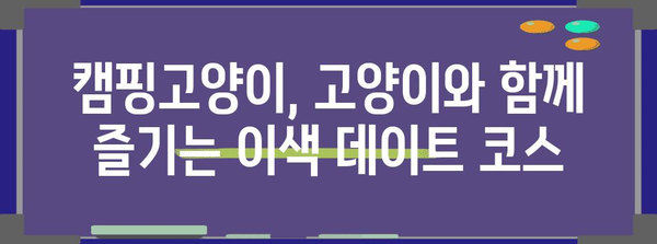 강남 이색 데이트 | 고양이 카페 캠핑고양이에서 특별한 야영