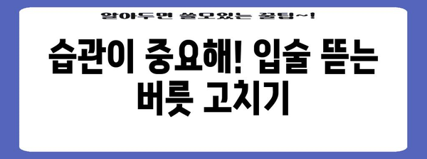 입술 부르틈 영원히 안녕! 필수 예방법 5가지