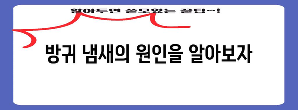방귀 냄새 해결법 | 원인 파악부터 대처법까지