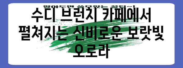 수디 브런치 카페에서 보랏빛 오로라 경험하기 | 신비로운 분위기 가이드