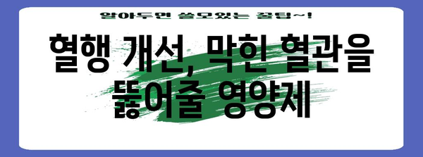 혈행 개선 영양제로 건강한 혈관 탈바꿈!