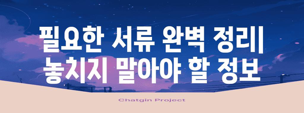 미국 비자 신청 완벽 가이드 | 단계별 절차와 필수 정보