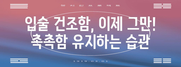 입술 부르틈 영원히 안녕! 필수 예방법 5가지
