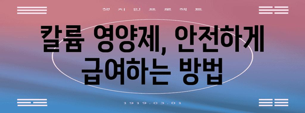 강아지 건강 필수 | 칼륨 영양제 비교 가이드