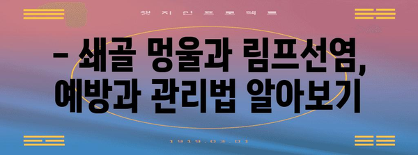 쇄골 멍울과 림프선염 | 원인, 증상, 치료법 탐구