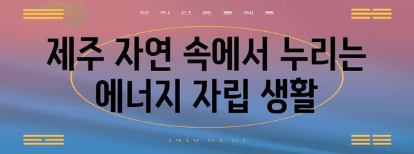 제주도 태양광 타운하우스, 최고의 투자 기회 놓치지 마세요!